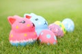 focus colorful rabbit with eggs on grass on Easter day Royalty Free Stock Photo