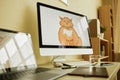Focus on computer screen with graphic picture of fat ginger cat