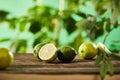 Focus of cut and whole limes