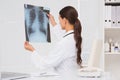 Focus doctor analyzing xray results Royalty Free Stock Photo