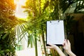 Focus on document that young girl fills out visa application form for Australia against backdrop of palm trees and sun