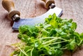 Double handed herb chopper and green leaves with selective focus on chopper Royalty Free Stock Photo