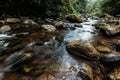 Focus of flowing stream near wet rocks with green mold Royalty Free Stock Photo