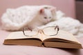 In focus in the foreground glasses. blurred white kitten lies on a knitted shawl in the background