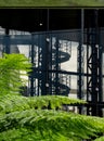 In focus in the foreground, green ferns in the garden at Cannon Bridge Roof Garden. In soft focus in the background, spiral stairs Royalty Free Stock Photo
