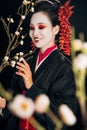 Focus of happy beautiful geisha in black kimono with red flowers in hair and sakura branches isolated on black Royalty Free Stock Photo