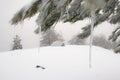 Icicle And Blurred View Tent In Winter Etna Park, Sicily Royalty Free Stock Photo