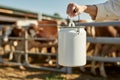 Focus of milk can in hand of cropped female farmer