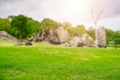 Focus nature green grass in golf court garden blur park on Sky, stone, palm tree background. Low angle shot style. Royalty Free Stock Photo