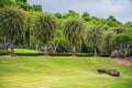 Focus nature green grass in golf court garden blur park on Sky, stone, palm tree background. Low angle shot style. Royalty Free Stock Photo