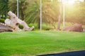 Focus nature green grass in golf court garden blur park on Sky, stone, palm tree background. Low angle shot style. Royalty Free Stock Photo