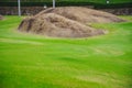 Focus nature green grass in golf court garden blur park on Sky, stone, palm tree background. Low angle shot style. Royalty Free Stock Photo