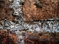 old brick wall that covered in moss Royalty Free Stock Photo