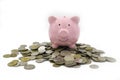 Focus of Pink piggy Bank on a pile of many coins isolated on white background. Royalty Free Stock Photo