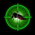 Focus scan Aedes Aegypti mosquitoes with stilt target. sights signal. for institutional related sanitation and care
