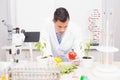 Focus scientist examining peppers