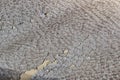 Focus stack macro of cracked faux leather on furniture with visible damage.