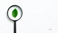 Focus on Sustainability Green Leaf Analysis Royalty Free Stock Photo