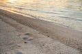 focus of texture of sand beach Royalty Free Stock Photo