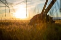 Focus on the wheel of an irrigation system in a ripe wheat field. The wheat is golden yellow and behind is the sunset Royalty Free Stock Photo