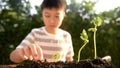 Young Thai Boy take care seedling