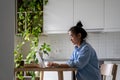 Focused Asian woman freelancer working remotely sits at table with laptop in kitchen Royalty Free Stock Photo