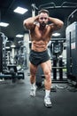 Focused bodybuilder pulling weight, having workout in gym.