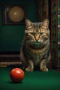 Intriguing Tabby Cat Gazing at Billiard Ball on Green Table Royalty Free Stock Photo