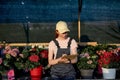 focused caucasian female gardene writing in notebook in greenhouse, sit next to flowers Royalty Free Stock Photo