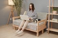 Focused Caucasian woman wearing striped shirt sitting on sofa with her puppy dog using laptop computer for online working or Royalty Free Stock Photo