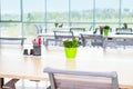 Focused flower pot and stationery stand on the long office table in light interior of open work space office with big windows, des