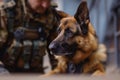 Military Dog with Soldier in Training.