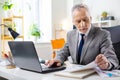 Focused good-looking senior man with stubble checking documents Royalty Free Stock Photo