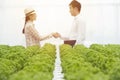 Focused on green oak organic vegetable farm with blurred of businessman hand check with asian farmer gardener woman in background,