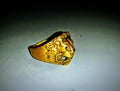 Focused image of golden lion ring