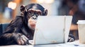 Focused and Intelligent Anthropomorphic Monkey Concentrating While Working Diligently on a Laptop Computer in a Professional Royalty Free Stock Photo