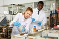 Focused lab technician woman with tubes and worried man technician Royalty Free Stock Photo