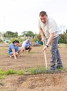 Focused man raking soil in vegetable bed in family garden Royalty Free Stock Photo