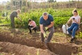 Man preparing vegetable patch for planting in family garden Royalty Free Stock Photo