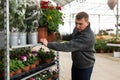 Man carrying rack trolley with plants in flower shop Royalty Free Stock Photo