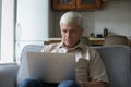 Focused mature computer user man resting on couch