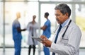 Focused and mature doctor browsing on a digital tablet while working in the hospital. Using wireless technology to Royalty Free Stock Photo