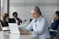 Focused middle aged business professional woman in glasses using laptop Royalty Free Stock Photo