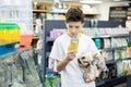 Focused preteen boy choosing canned dog food for Yorkie in pet store Royalty Free Stock Photo