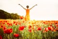 Focused red poppy flower and blurred back view girl in flowers meadow in sunset. Young woman in red dress arms raised up to the