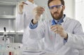 Focused scientist who works on the analysis of samples while working in the laboratory. Royalty Free Stock Photo