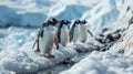 Focused Selectively Penguins Group In The Snow With Mountains in The Background