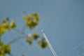 Focused shot of an airplane flying high in a blue sky leaving a white print Royalty Free Stock Photo