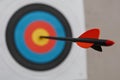 focused shot of an arrow hitting a blurred archery target Royalty Free Stock Photo