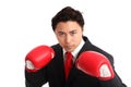 Focused staring businessman boxer Royalty Free Stock Photo